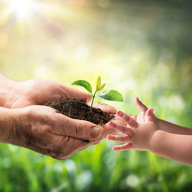 Sustainability Information Sustainability at NSK