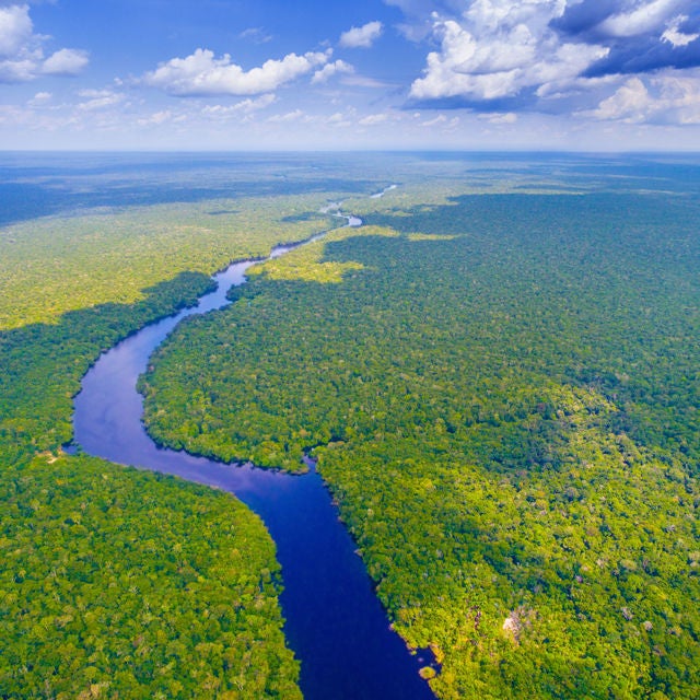 Sustainability Information Environment