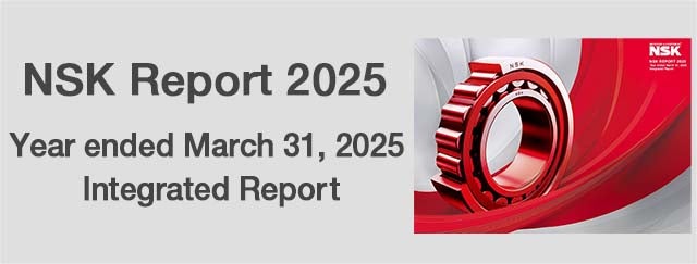 NSK Report 2025