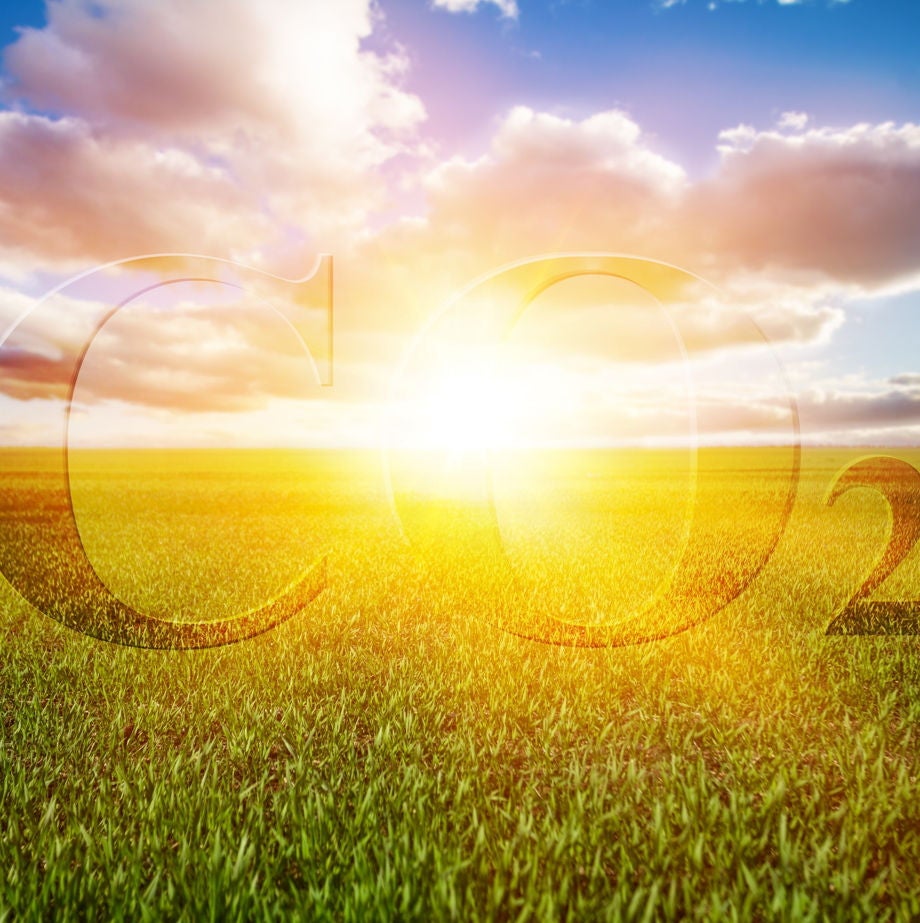 CO2 Reduction, Landscape CO2 Reduction, Landscape