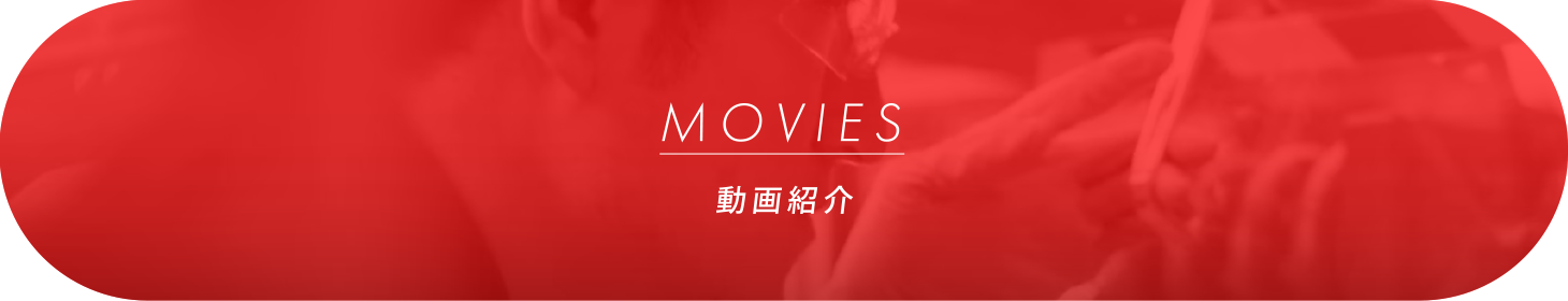 MOVIES/動画紹介