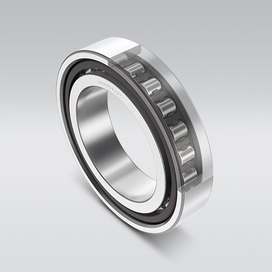 NSKROBUST Ultra High-Speed Cylindrical Roller Bearings