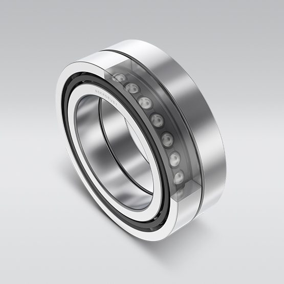 NSKROBUST Angular Contact Thrust Ball Bearings