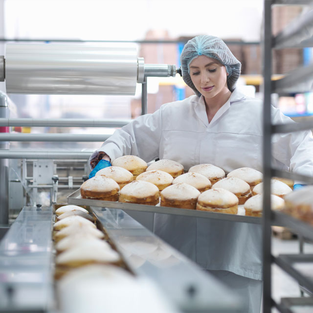 Food Processing Machinery Highly reliable, low-maintenance products help keep machinery safe and hygienic.